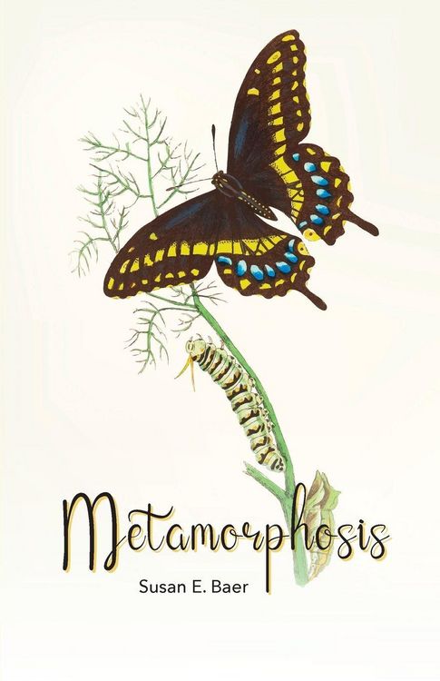Produktbild: Metamorphosis