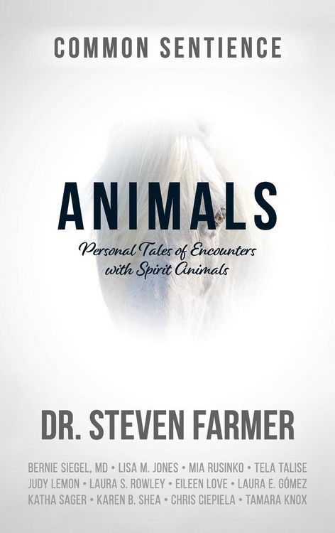 Produktbild: Animals