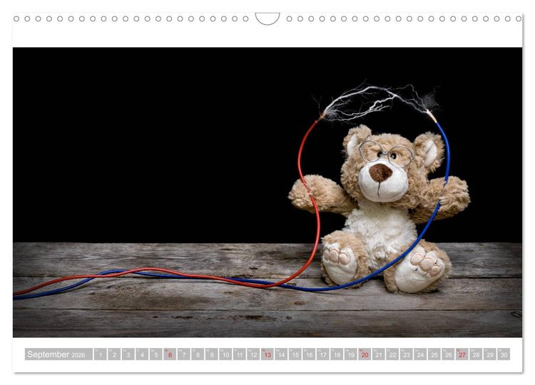 Produktbild: Eddy, der Teddy - 12 Bilder zum Schmunzeln (Wandkalender 2026 DIN A3 quer), CALVENDO Monatskalender