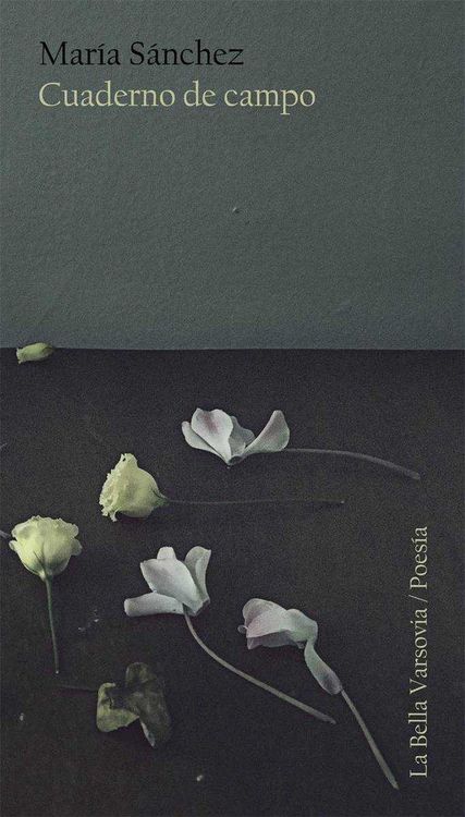 Produktbild: Cuaderno de campo