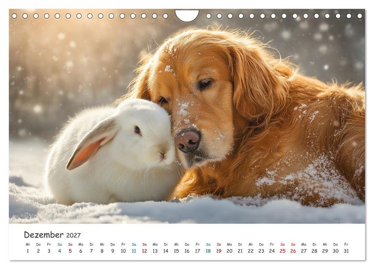 Produktbild: Wenn Tiere Freunde werden (Wandkalender 2027 DIN A4 quer), CALVENDO Monatskalender