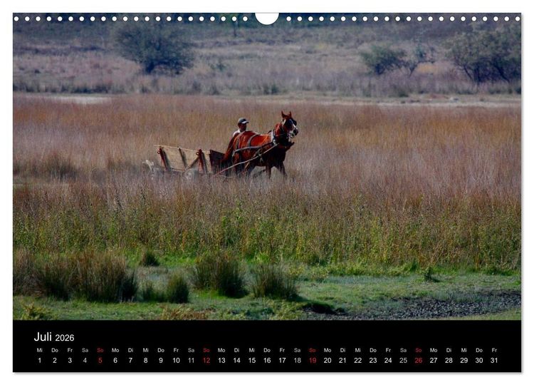 Produktbild: Donaudelta (Wandkalender 2026 DIN A3 quer), CALVENDO Monatskalender
