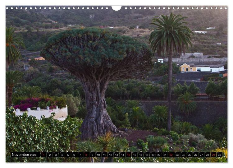 Produktbild: Teneriffa - Insel des ewigen Fr&uuml;hlings (Wandkalender 2026 DIN A3 quer), CALVENDO Monatskalender