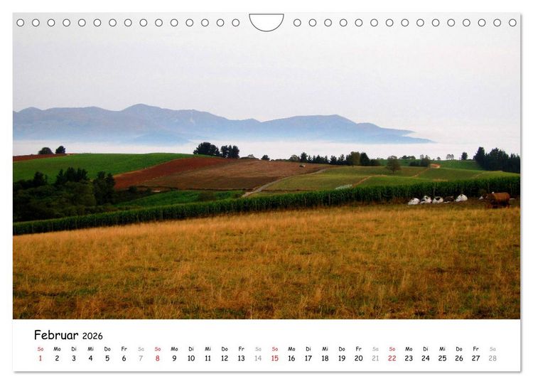 Produktbild: Jakobsweg - Camino Primitivo (Wandkalender 2026 DIN A4 quer), CALVENDO Monatskalender