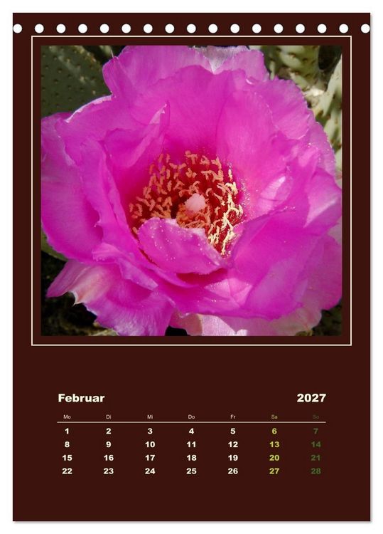 Produktbild: Wilde Kakteen Amerikas (Tischkalender 2027 DIN A5 hoch), CALVENDO Monatskalender