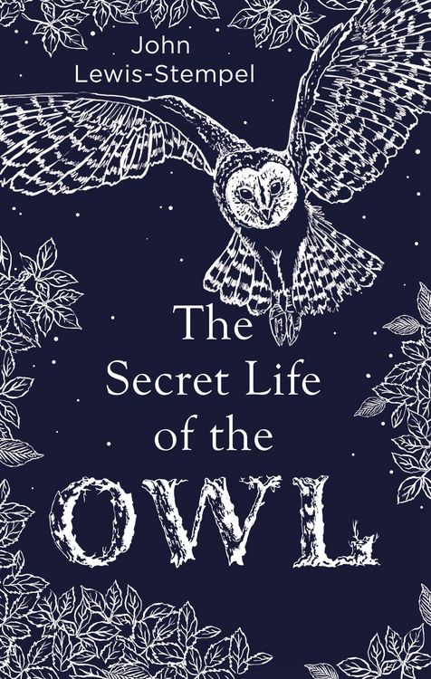 Produktbild: Secret Life of the Owl