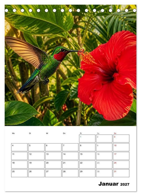 Produktbild: Kolibri-Welten (Tischkalender 2027 DIN A5 hoch), CALVENDO Monatskalender
