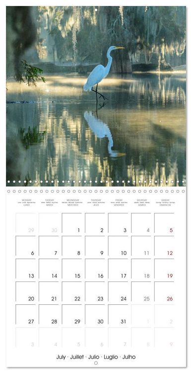 Produktbild: Mississippi Delta, Magic Swamps (Wall Calendar 2026 12 &times; 12 Inch) CALVENDO 12 Month Wall Calendar