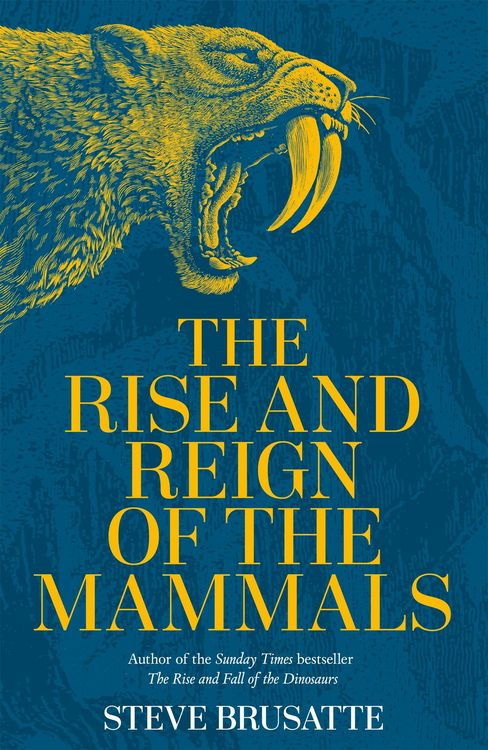 Produktbild: The Rise and Reign of the Mammals