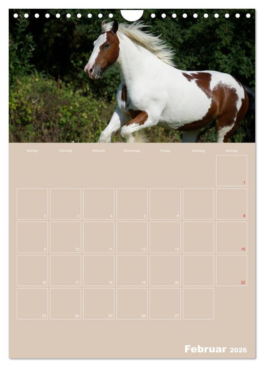 Produktbild: Pferde / Planer (Wandkalender 2026 DIN A4 hoch), CALVENDO Monatskalender