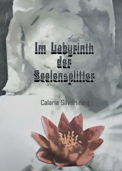 Produktbild: Im Labyrinth der Seelensplitter