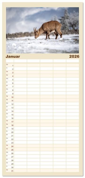 Produktbild: Familienplaner 2026 - Steinb&ouml;cke - Eindr&uuml;ckliche K&ouml;nige der Alpen mit 5 Spalten (Wandkalender, 21 x 45 cm) CALVENDO