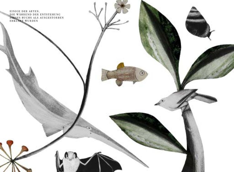 Produktbild: Wunder der Natur