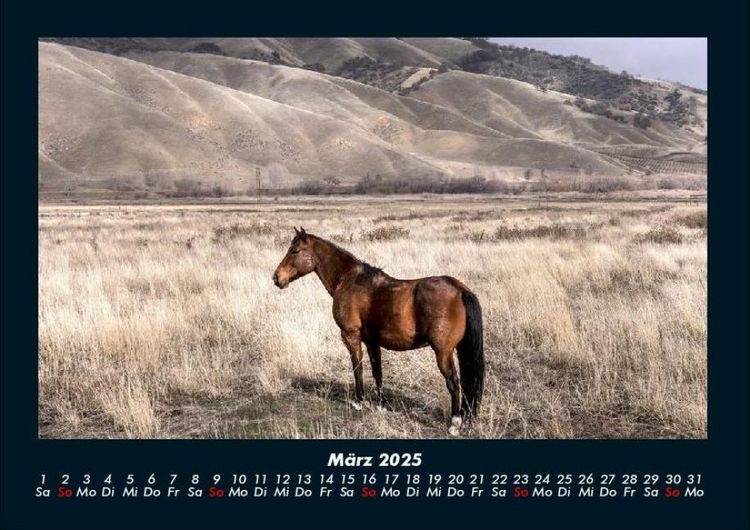 Produktbild: Die Welt der Pferde 2025 Fotokalender DIN A4