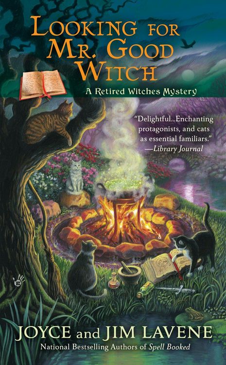 Produktbild: Looking for Mr. Good Witch