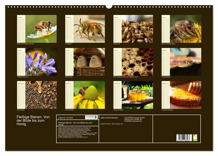 Produktbild: Flei&szlig;ige Bienen. Von der Bl&uuml;te bis zum Honig (Wandkalender 2026 DIN A2 quer), CALVENDO Monatskalender