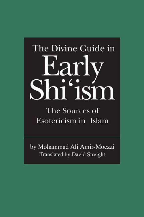 Produktbild: The Divine Guide in Early Shi'ism