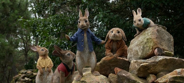 Produktbild: Peter Hase