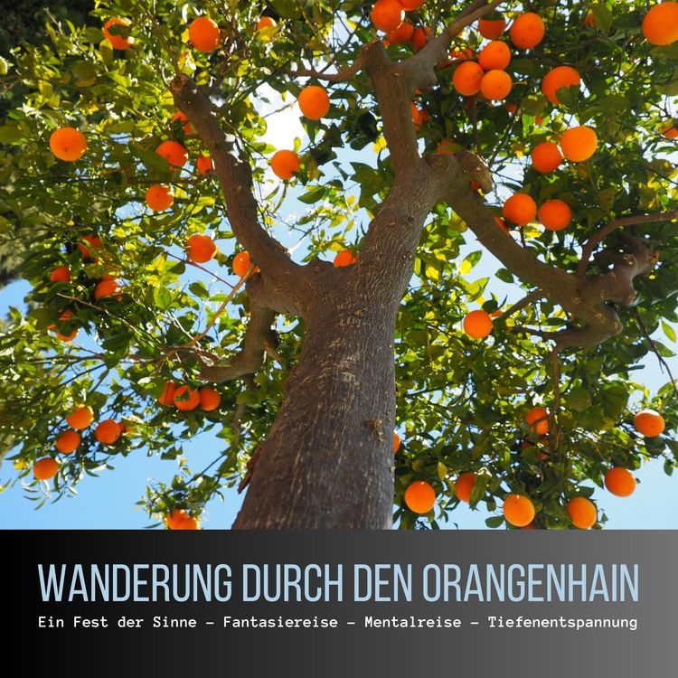 Produktbild: Wanderung durch den Orangenhain: Ein Fest der Sinne - Fantasiereise - Mentalreise - Gef&uuml;hrte Tiefenentspannung - Gedankenreise