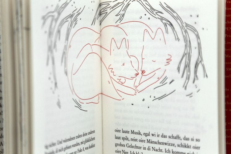 Produktbild: Fuchs 8