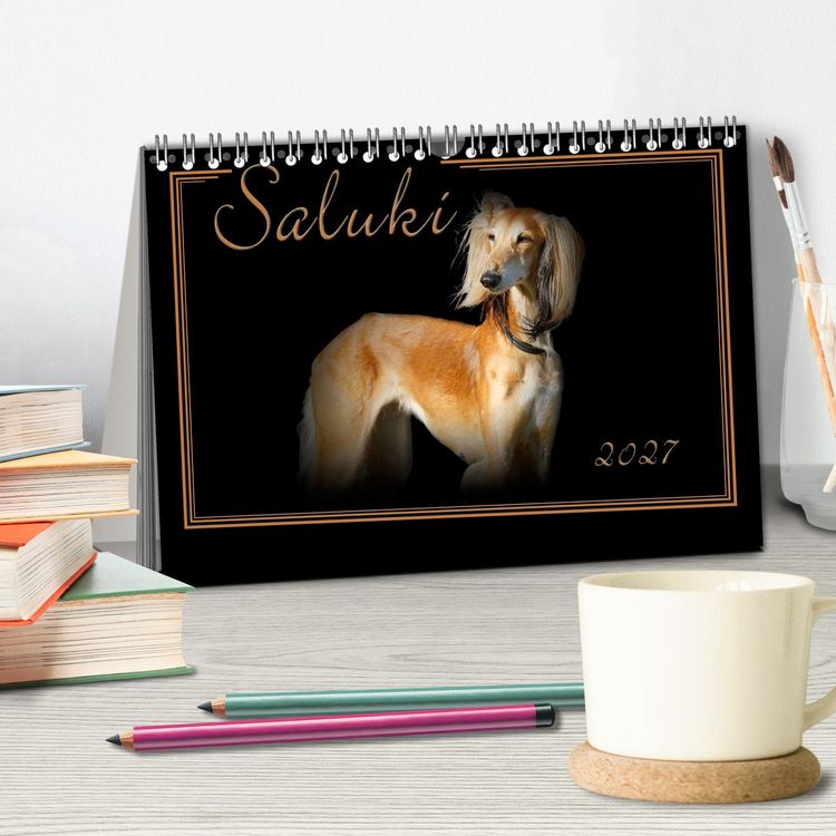 Produktbild: Saluki 2027 (Tischkalender 2027 DIN A5 quer), CALVENDO Monatskalender