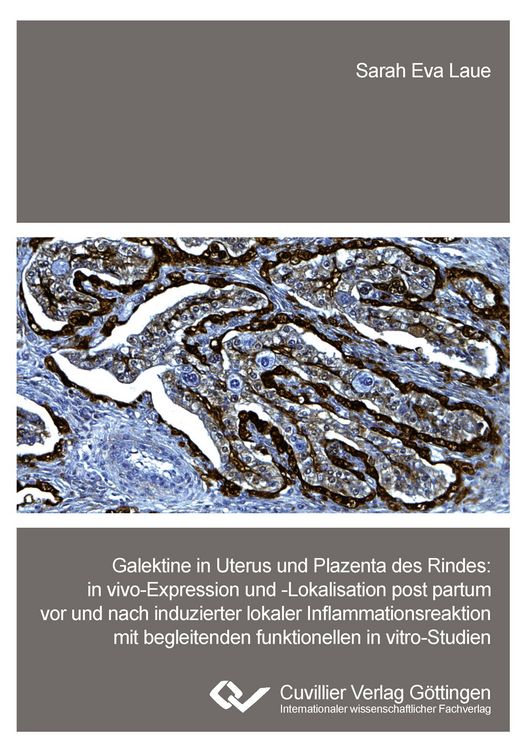 Produktbild: Galektine in Uterus und Plazenta des Rindes