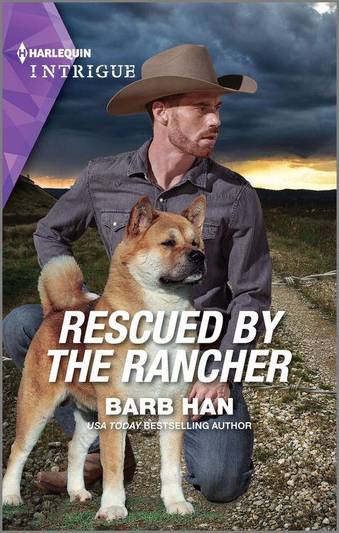 Produktbild: Han, B: Rescued by the Rancher