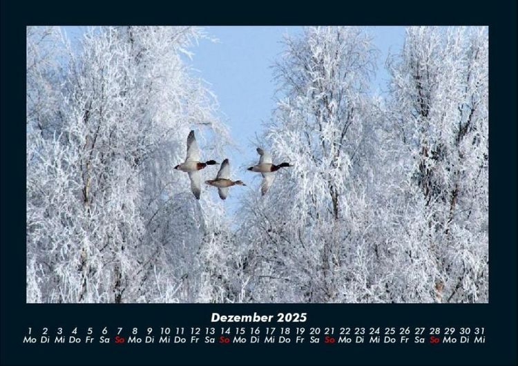Produktbild: Winterzauber 2025 Fotokalender DIN A4