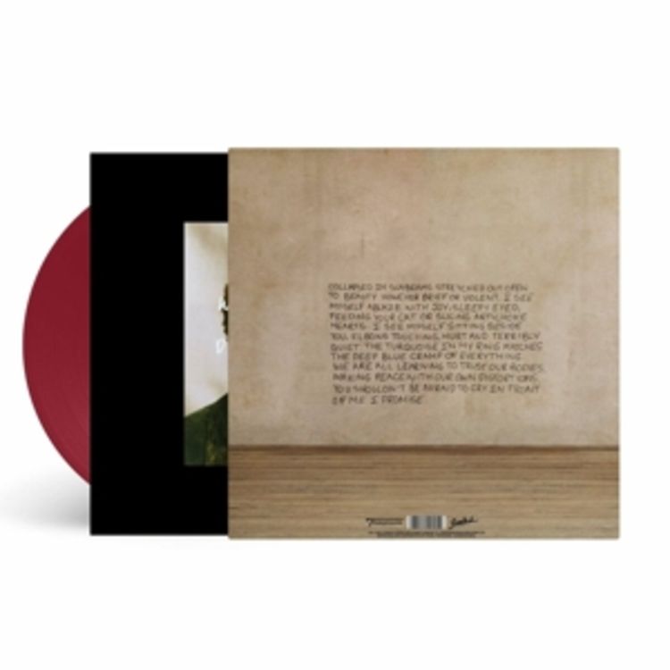 Produktbild: Collapsed In Sunbeams (Ltd.Ed.)(LP+MP3)(Col.)