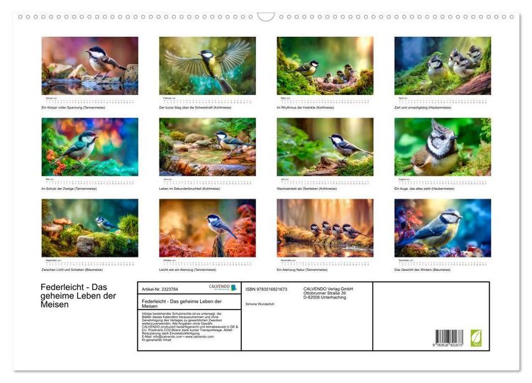 Produktbild: Federleicht - Das geheime Leben der Meisen (Wandkalender 2027 DIN A2 quer), CALVENDO Monatskalender
