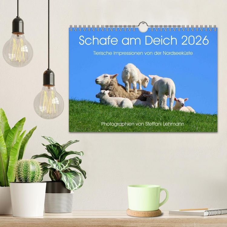 Produktbild: Schafe am Deich 2026. Tierische Impressionen von der Nordseek&uuml;ste (Wandkalender 2026 DIN A4 quer), CALVENDO Monatskalender