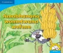 Produktbild: Amabhanana womntwana wefene (IsiNdebele)