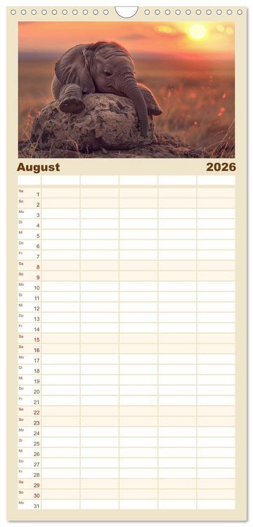 Produktbild: Familienplaner 2026 - Einfach mal abh&auml;ngen mit 5 Spalten (Wandkalender, 21 x 45 cm) CALVENDO