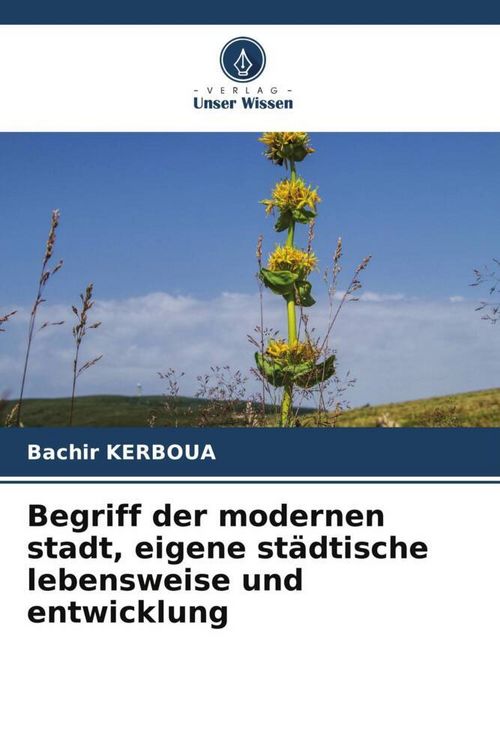 Produktbild: Begriff der modernen stadt, eigene st&auml;dtische lebensweise und entwicklung