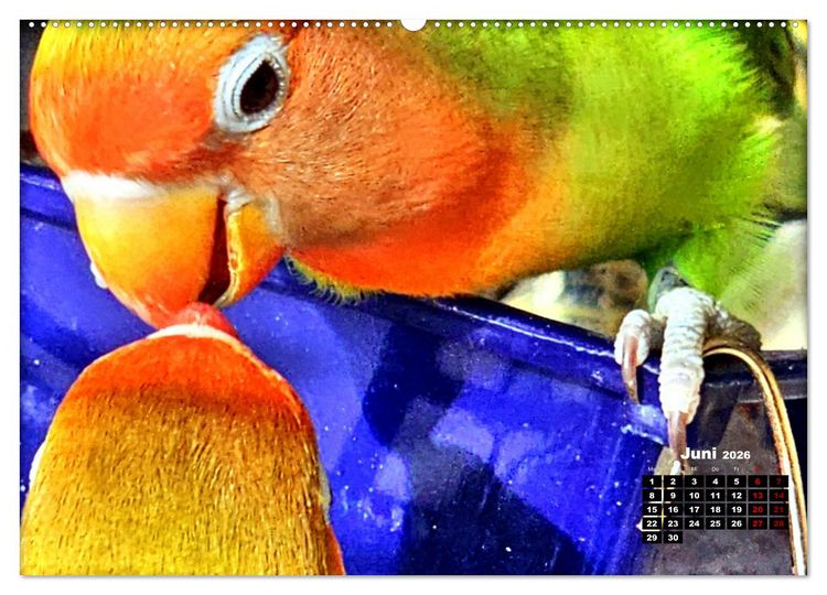 Produktbild: Die Unzertrennlichen (hochwertiger Premium Wandkalender 2026 DIN A2 quer), Kunstdruck in Hochglanz