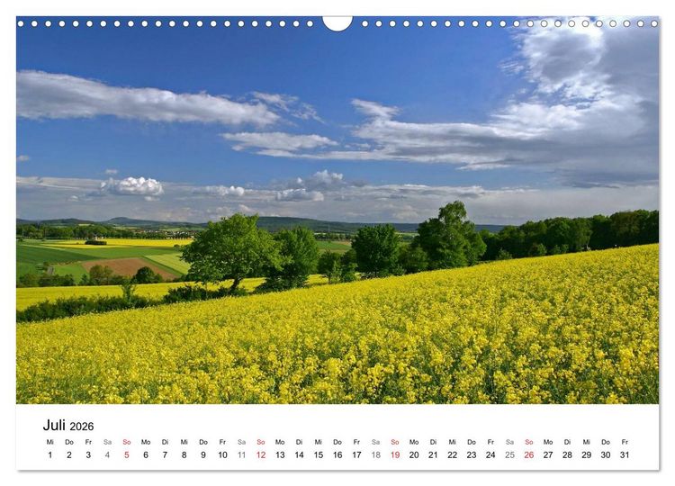 Produktbild: Rapsodie (Wandkalender 2026 DIN A3 quer), CALVENDO Monatskalender