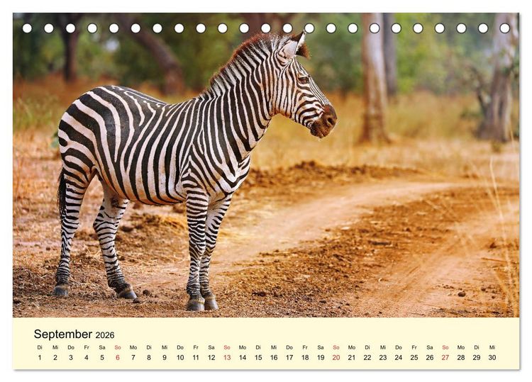 Produktbild: Traumhaftes Malawi (Tischkalender 2026 DIN A5 quer), CALVENDO Monatskalender