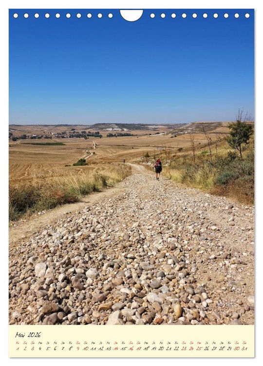 Produktbild: Buen Camino - Auf dem Jakobsweg - Camino Franc&eacute;s (Wandkalender 2026 DIN A4 hoch), CALVENDO Monatskalender