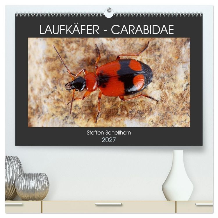 Produktbild: LAUFK&Auml;FER - CARABIDAE (hochwertiger Premium Wandkalender 2027 DIN A2 quer), Kunstdruck in Hochglanz