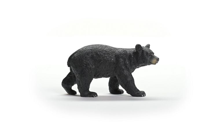 Produktbild: schleich&reg; 14869 Amerikanischer Schwarzb&auml;r