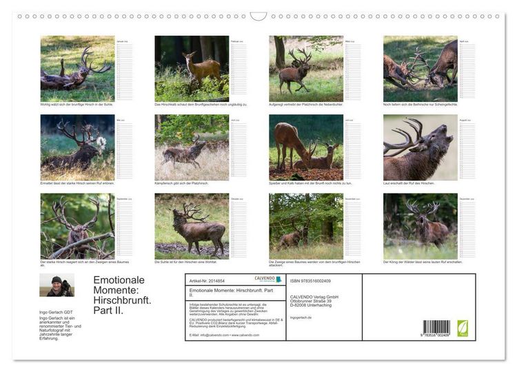 Produktbild: Emotionale Momente: Hirschbrunft. Part II. (Wandkalender 2026 DIN A2 quer), CALVENDO Monatskalender