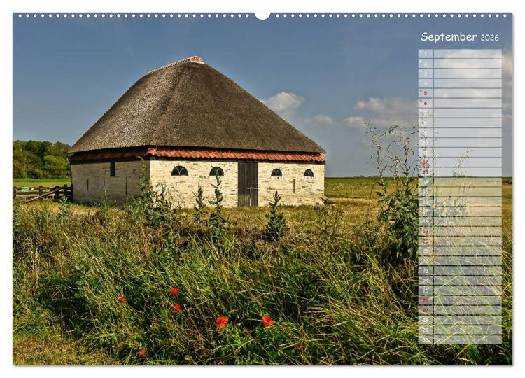 Produktbild: Ein Sommer auf Texel (Wandkalender 2026 DIN A2 quer), CALVENDO Monatskalender