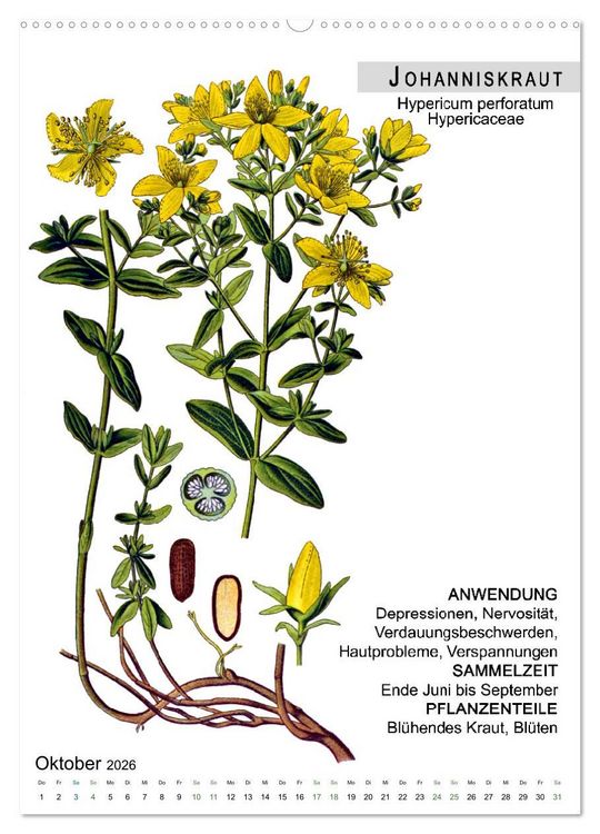 Produktbild: Heilpflanzen (hochwertiger Premium Wandkalender 2026 DIN A2 hoch), Kunstdruck in Hochglanz