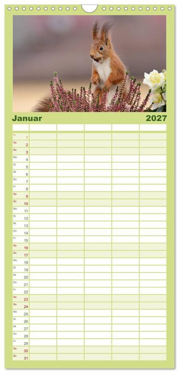 Produktbild: Familienplaner 2027 - Eichh&ouml;rnchen Momentaufnahmen f&uuml;rs Herz mit 5 Spalten (Wandkalender, 21 x 45 cm) CALVENDO