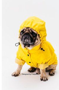 Produktbild: Notizb&uuml;cher / S&uuml;&szlig;es Hunde Notizbuch Businessplaner Geschenkidee f&uuml;r Mann Frau und Kind