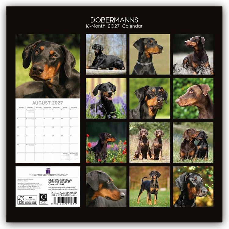 Produktbild: Dobermans &ndash; Dobermann 2027 &ndash; 16-Monatskalender