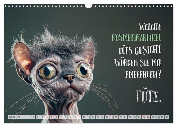 Produktbild: Katzenlogik - Wenn Blicke miauen k&ouml;nnten (Wandkalender 2026 DIN A3 quer), CALVENDO Monatskalender
