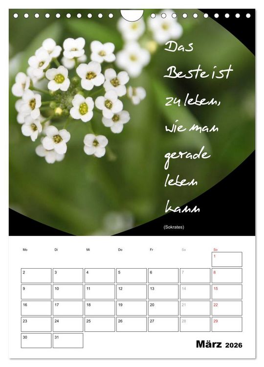 Produktbild: Spr&uuml;che und Weisheiten f&uuml;r&acute; s Jahr (Wandkalender 2026 DIN A4 hoch), CALVENDO Monatskalender