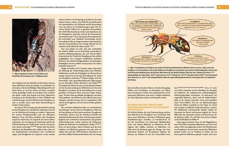 Produktbild: Bienenbau und Bienenbeute
