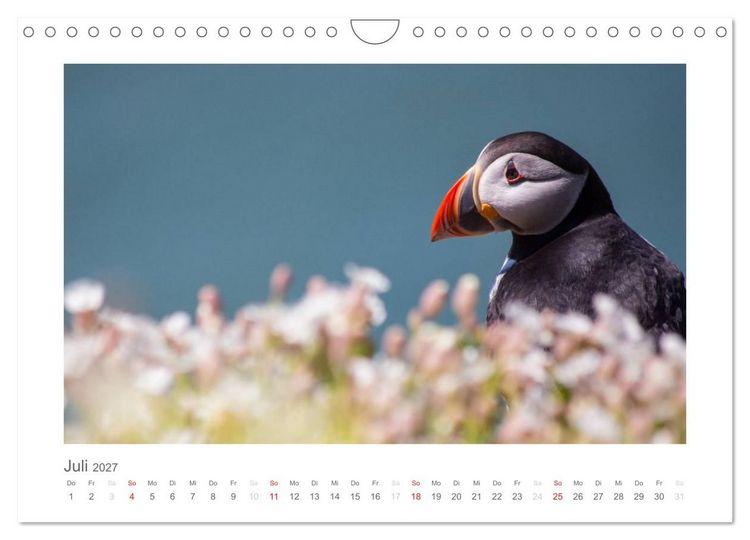 Produktbild: Wales / AT-Version (Wandkalender 2027 DIN A4 quer), CALVENDO Monatskalender